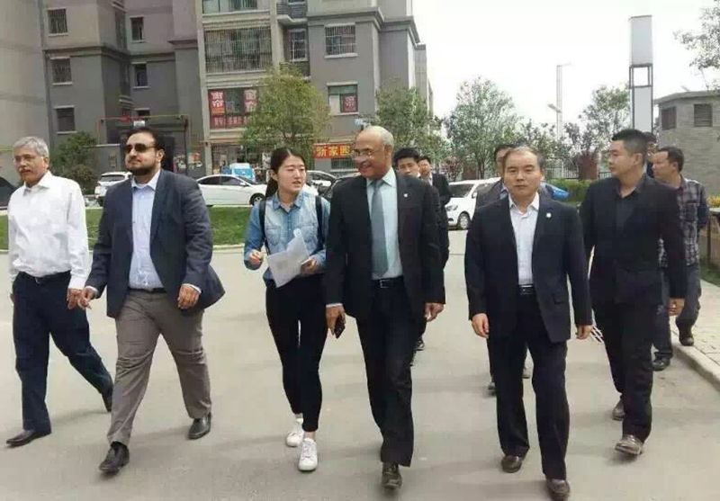 专业服务
